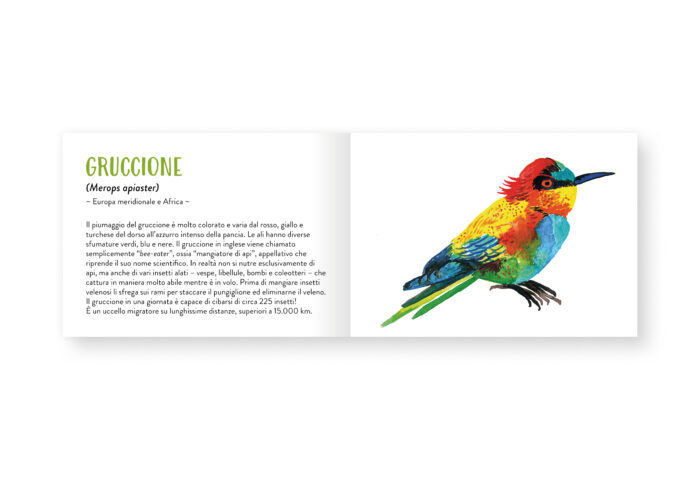 Piccolo libro degli animali di tutti i colori