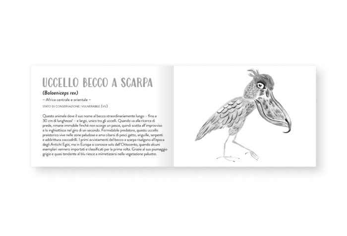 Piccolo libro degli animali grigi