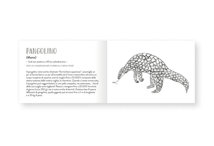 Piccolo libro degli animali grigi