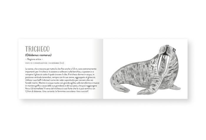 Piccolo libro degli animali grigi