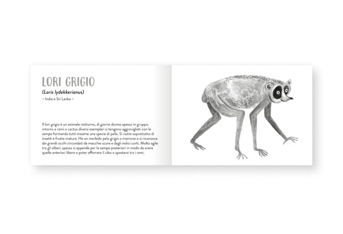 Piccolo libro degli animali grigi